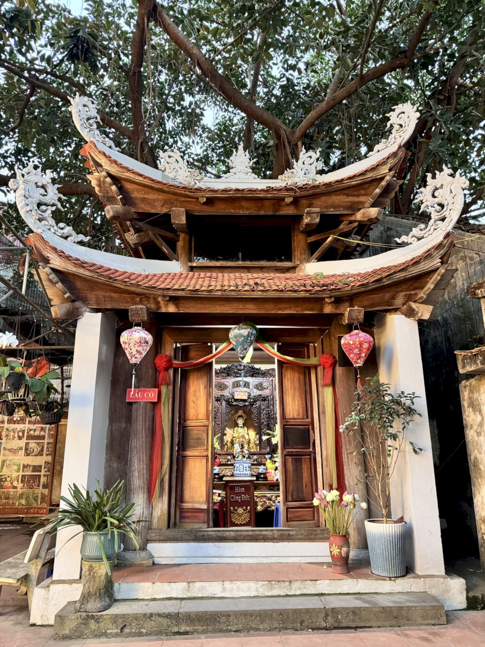 Lầu Cô, Lầu Cậu